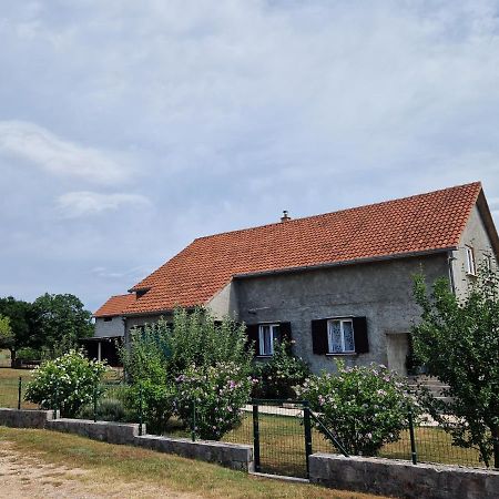 Apartman Lana Kijevo Buitenkant foto